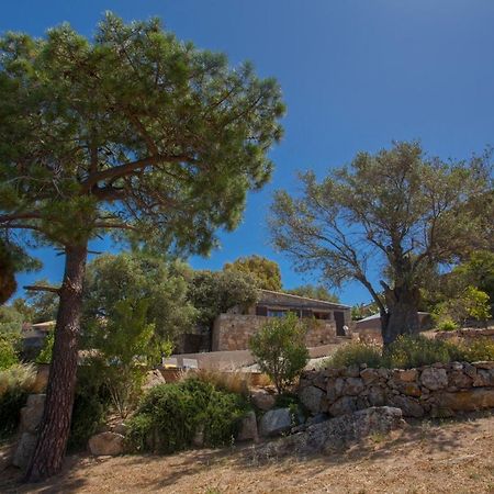 Villa bodri, maison en pierre avec vue mer et piscine chauffée LʼÎle-Rousse Exterior foto